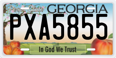 GA license plate PXA5855