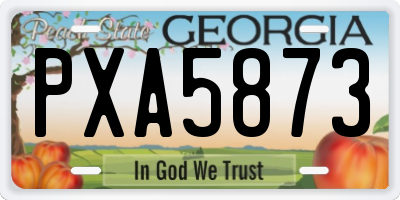 GA license plate PXA5873