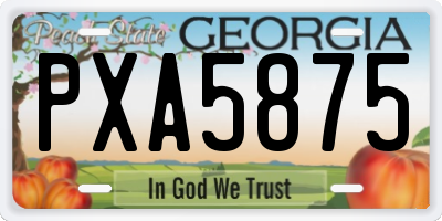 GA license plate PXA5875