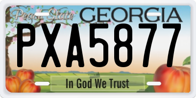 GA license plate PXA5877