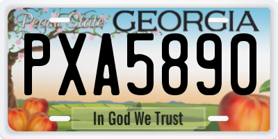 GA license plate PXA5890