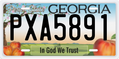 GA license plate PXA5891