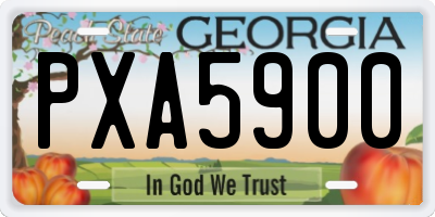 GA license plate PXA5900