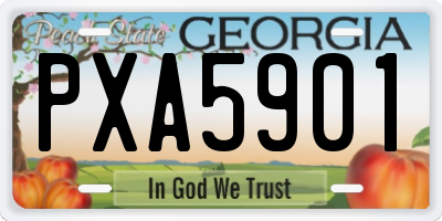 GA license plate PXA5901