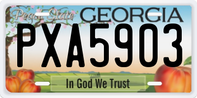 GA license plate PXA5903