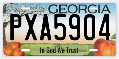 GA license plate PXA5904