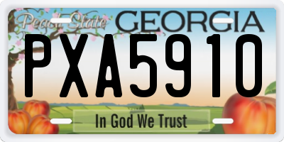 GA license plate PXA5910