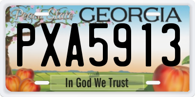 GA license plate PXA5913
