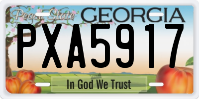GA license plate PXA5917
