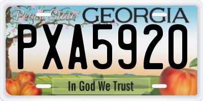 GA license plate PXA5920