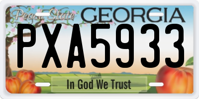 GA license plate PXA5933
