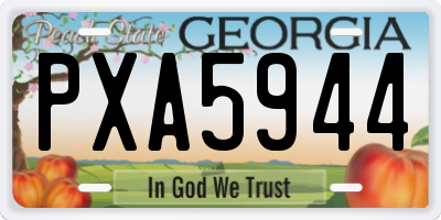 GA license plate PXA5944