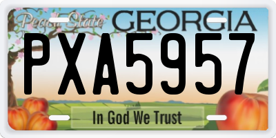 GA license plate PXA5957
