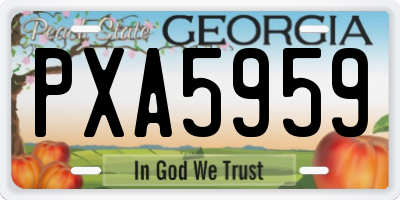GA license plate PXA5959