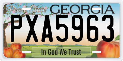 GA license plate PXA5963