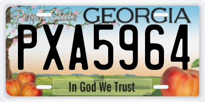 GA license plate PXA5964