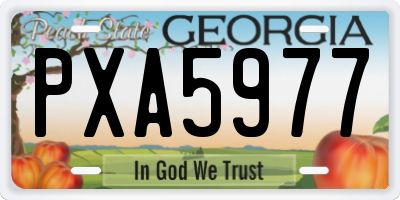 GA license plate PXA5977