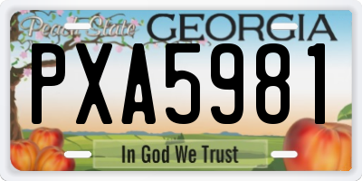 GA license plate PXA5981