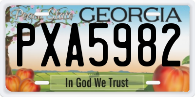 GA license plate PXA5982