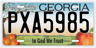 GA license plate PXA5985