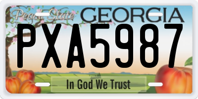 GA license plate PXA5987