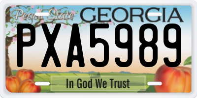 GA license plate PXA5989