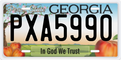 GA license plate PXA5990