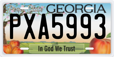 GA license plate PXA5993
