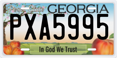 GA license plate PXA5995