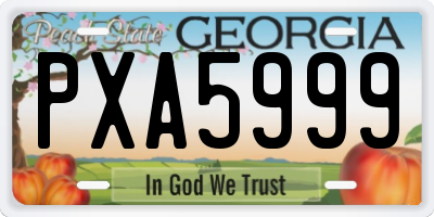 GA license plate PXA5999