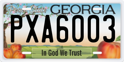 GA license plate PXA6003