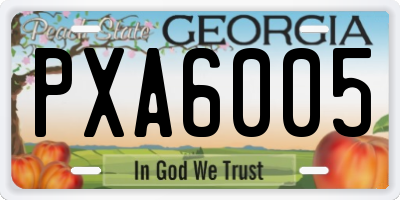 GA license plate PXA6005