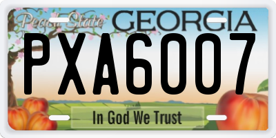 GA license plate PXA6007