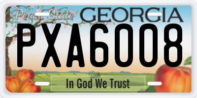 GA license plate PXA6008
