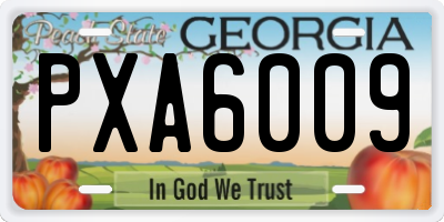 GA license plate PXA6009