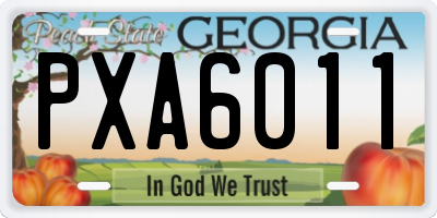 GA license plate PXA6011