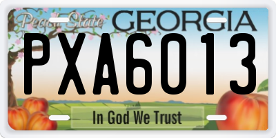 GA license plate PXA6013