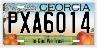 GA license plate PXA6014