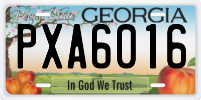 GA license plate PXA6016