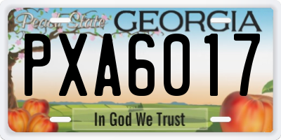 GA license plate PXA6017