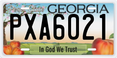 GA license plate PXA6021