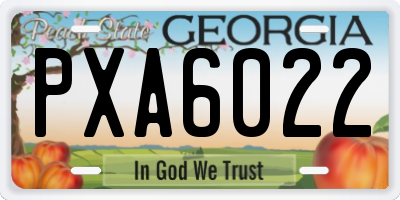 GA license plate PXA6022