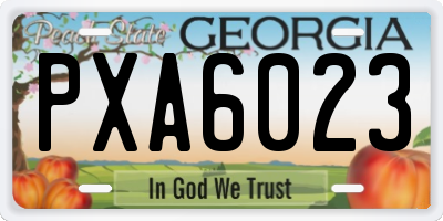 GA license plate PXA6023