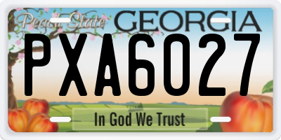GA license plate PXA6027
