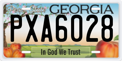 GA license plate PXA6028