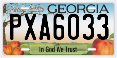 GA license plate PXA6033