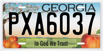 GA license plate PXA6037