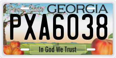 GA license plate PXA6038
