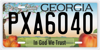 GA license plate PXA6040