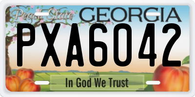 GA license plate PXA6042